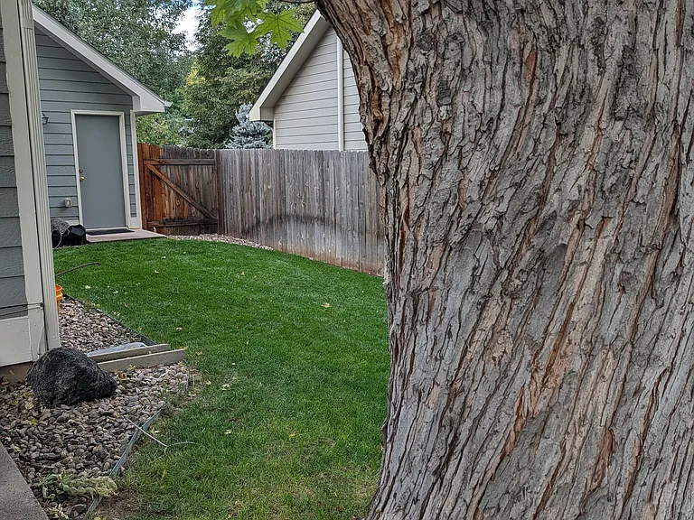 1713 Sagewood Dr — Photo 11