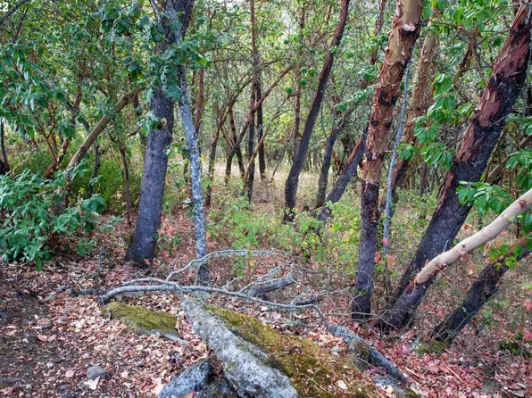 0 North Ct, Riddle, OR 97469