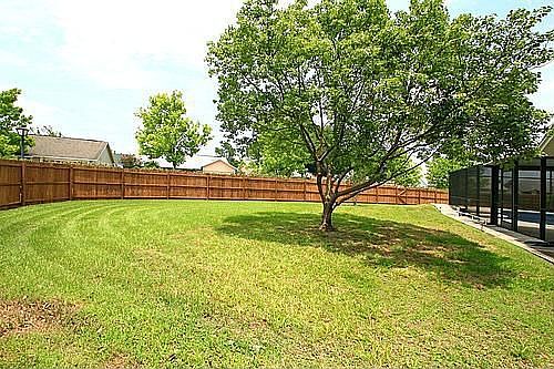 Large Yard