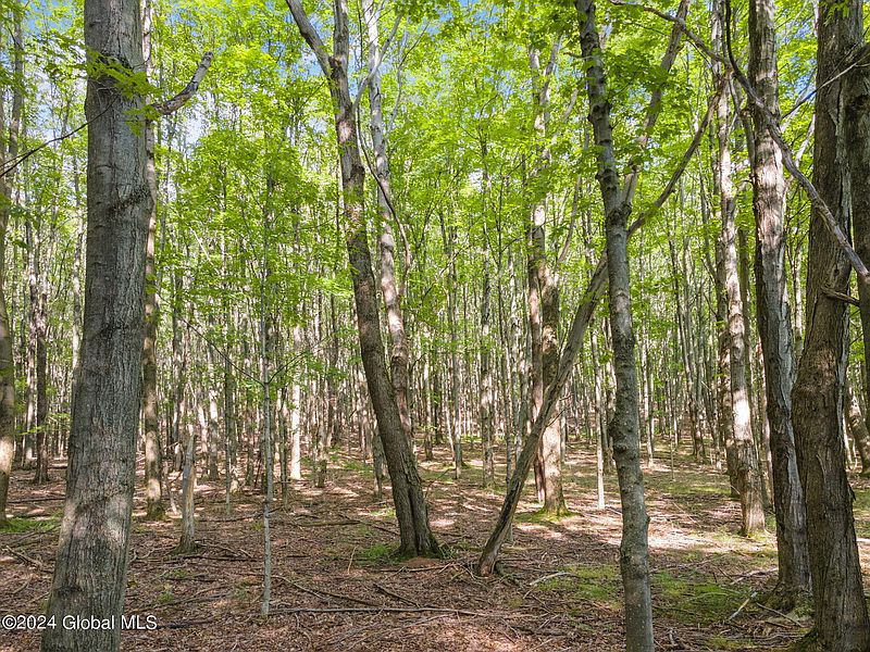 3rd image of 2468 Tower Mountain Road