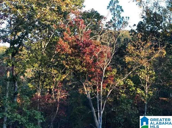 0 Laurel Cir SE Lot 57, Jacksonville, AL 36265