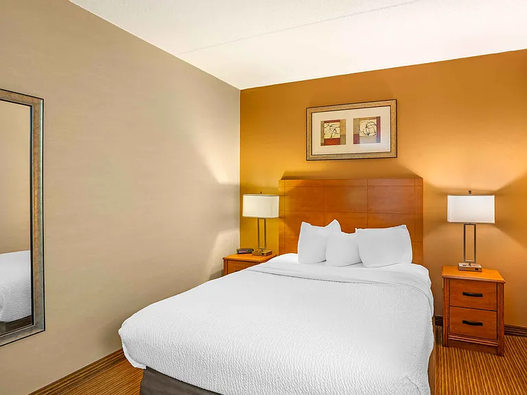 Deluxe Studio - 1 Queen Bed