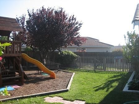 This is only 1/3 of the yard!