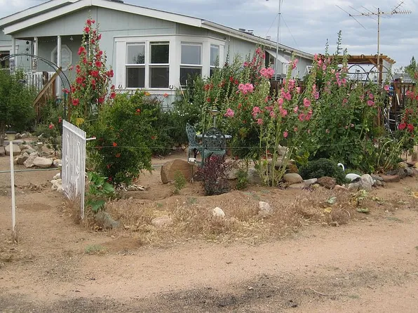 107070 Cedar Canyon Rd, Cima, CA 92323