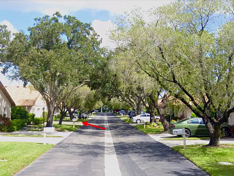 Mature tree canopy maintained by the HOA.