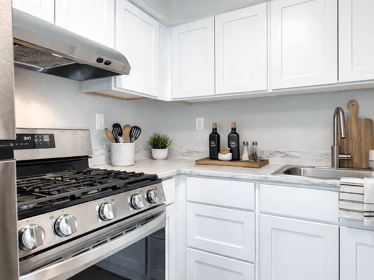 Dishwasher - Renovated Platinum Townhomes