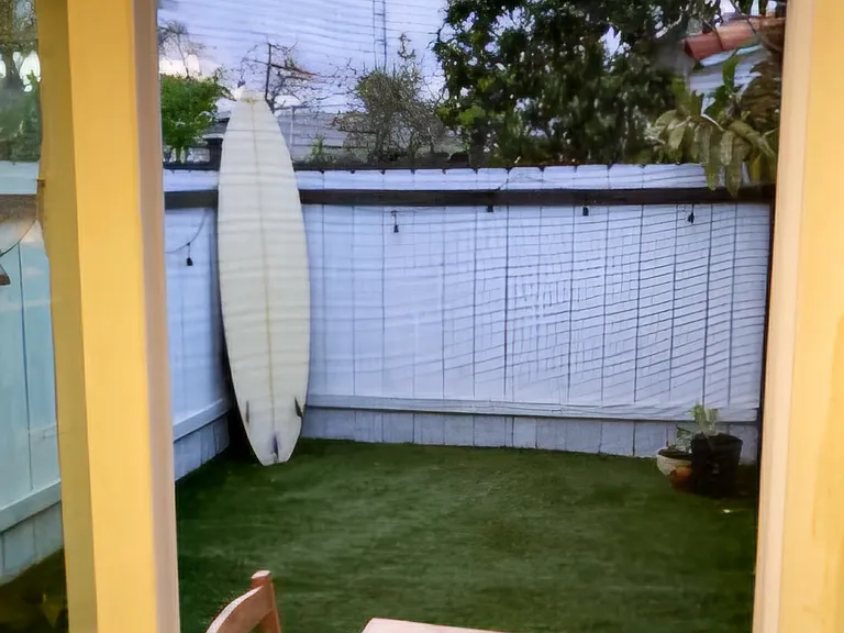 This is a view of the Back Yard from your Kitchen Window. Access to the back yard is through the Back Kitchen Door