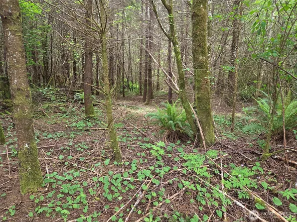 13 Beaver Hill Lane, Montesano, WA 98563