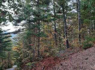 115 Le Conte View Ln LOT 80, Townsend, TN 37882