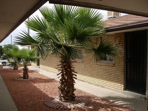 4019 Nashville Ave APT 4, El Paso, TX 79903