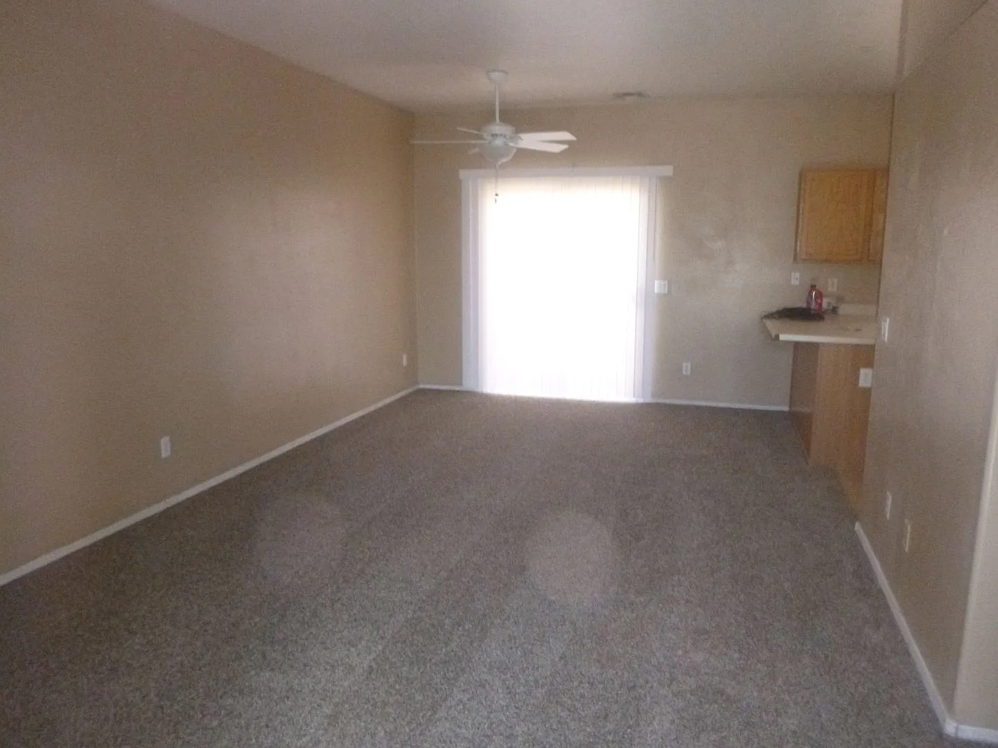 Great 3 Bdrm — Photo 3
