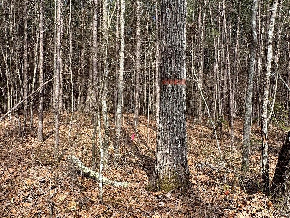 2nd image of Sam Summers Rd