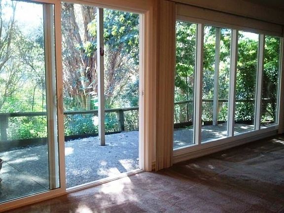 Pet friendly backyard