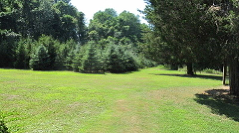2nd image of 54 Smith Rd