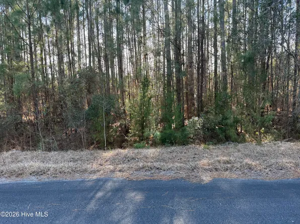 (undisclosed Address), Oriental, NC 28571