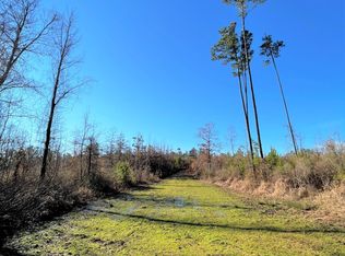 Attala County Rd #4102, Sallis, MS 39160