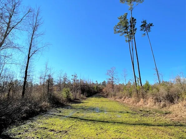 Attala County Rd #4102, Sallis, MS 39160