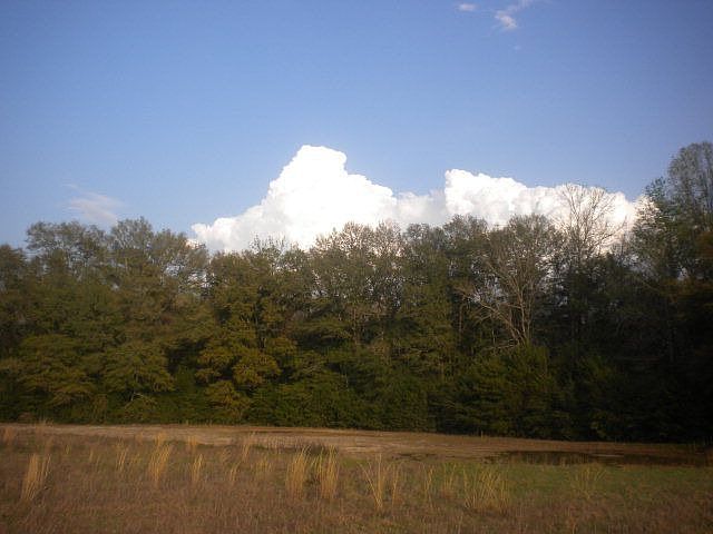 2nd image of 50 Ihagee Creek Cir