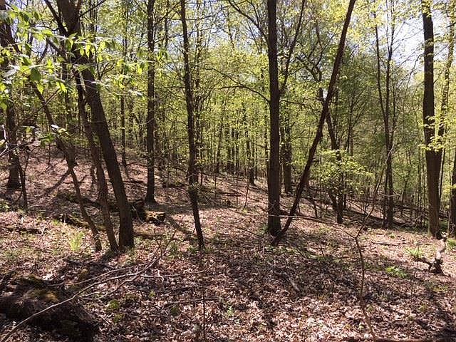 1st image of Cortland Ln