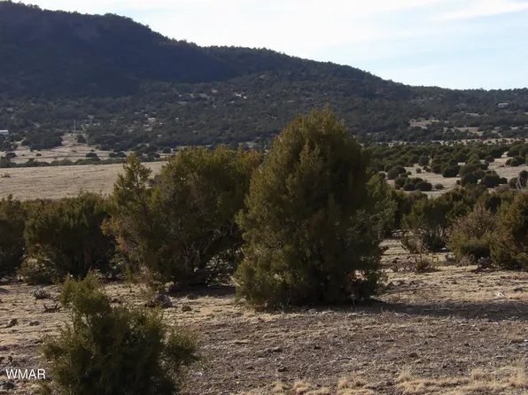 LOT-14D N 3411th, Vernon, AZ 85940