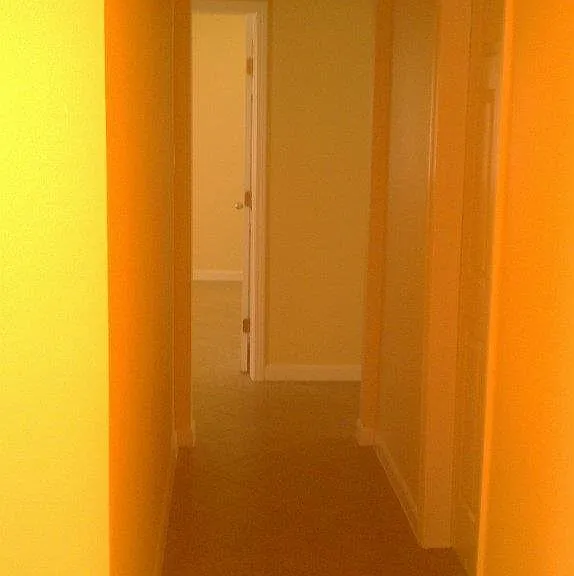 4109 Duval St #B — Photo 4