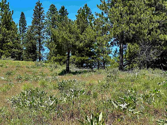 2nd image of Aspen Ridge Rd