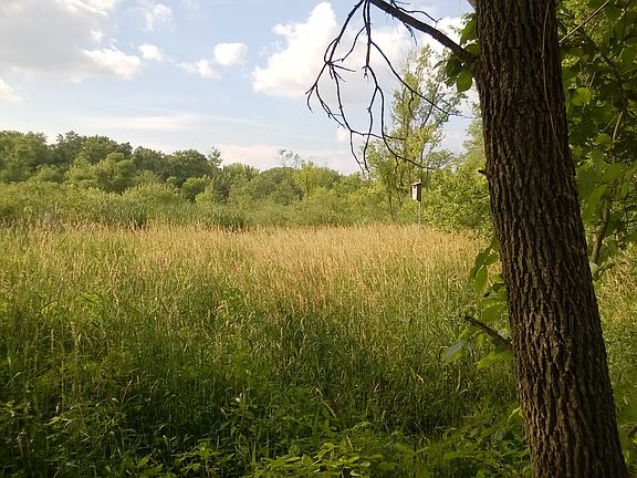 5th image of 7305 State Highway 78