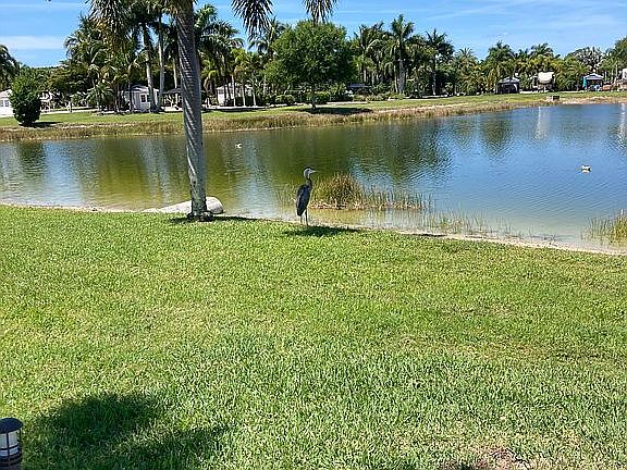 5th image of 10211 Surfwood Ct