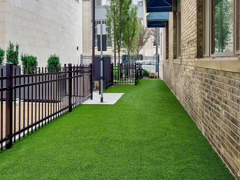 Exterior Lawn view