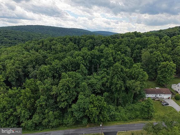 4th image of TRACT 2 52/ Acres Hickory Avenue Trl #22