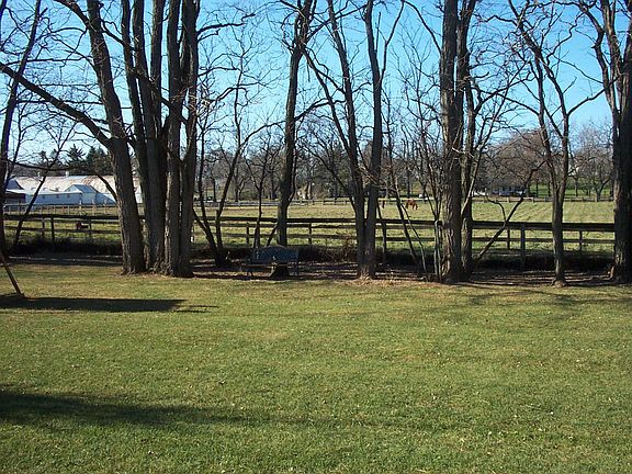 Horse Pasture in Back
