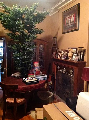 Rented by Garfield Realty  | media 30