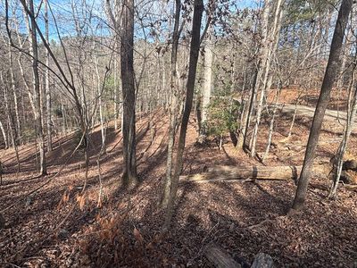 LOT 727 Armor Ct, Ellijay, GA, 30540