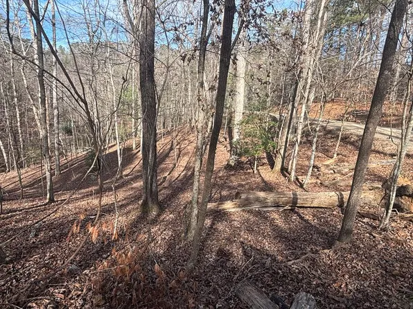 LOT 727 Armor Ct, Ellijay, GA 30540