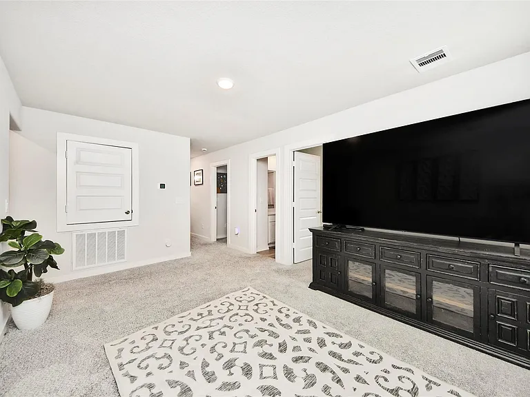8646 Blueberry Ash St — Photo 44