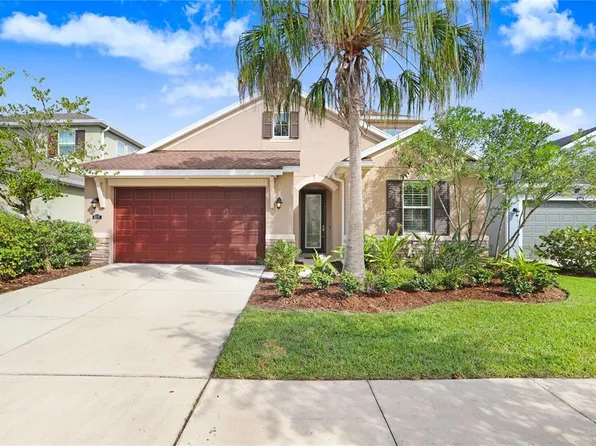 16335 Hyde Manor Dr, Tampa, FL 33647