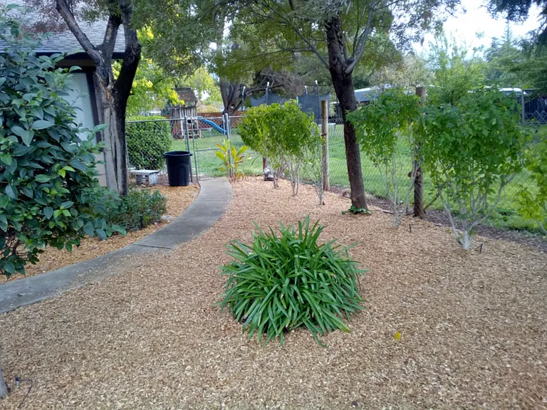 Encina Dr — Photo 8