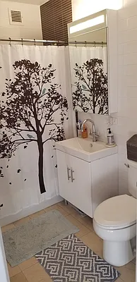 Rented by NY Living Solutions | media 16