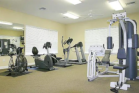 3172 Hollow Tree Ct — Photo 11