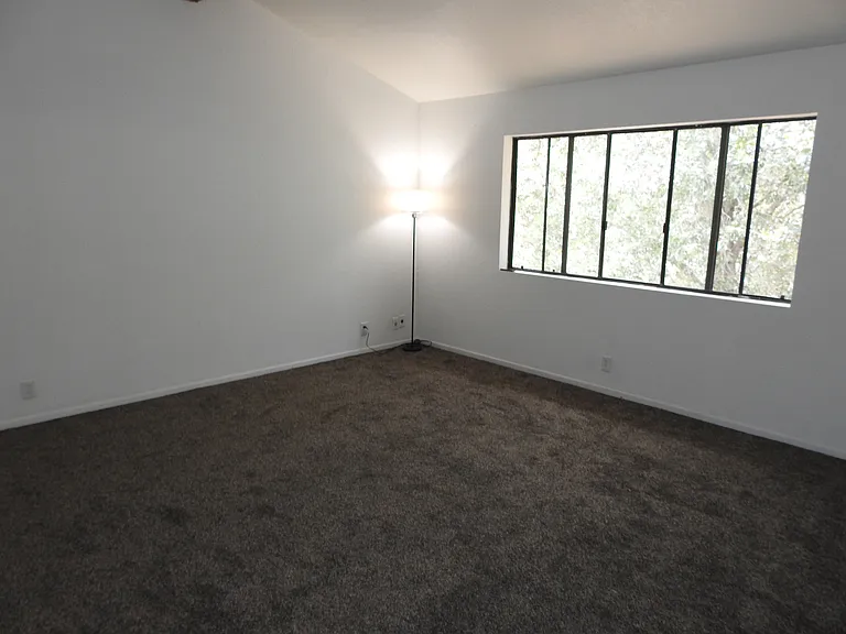 5041 Pine Ridge Ave — Photo 53