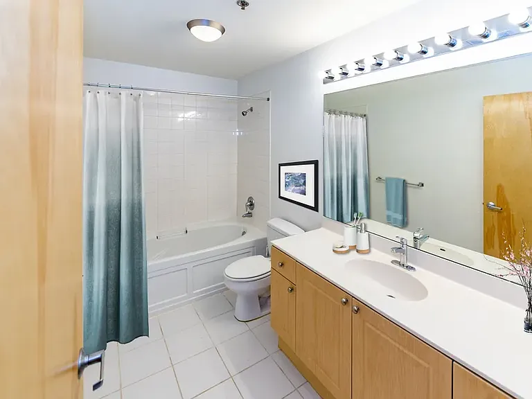 1620 S Michigan Ave #413 — Photo 8