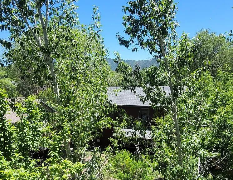 Looking east on balcony