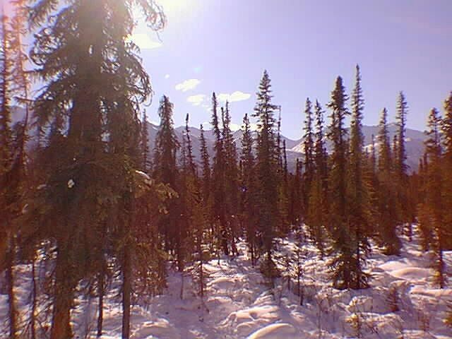 2nd image of 2 Lots Mineral Lakes Rd