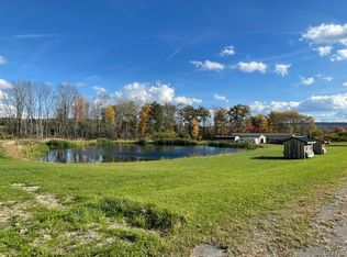 6118 Windfall Rd, Belmont, NY 14813