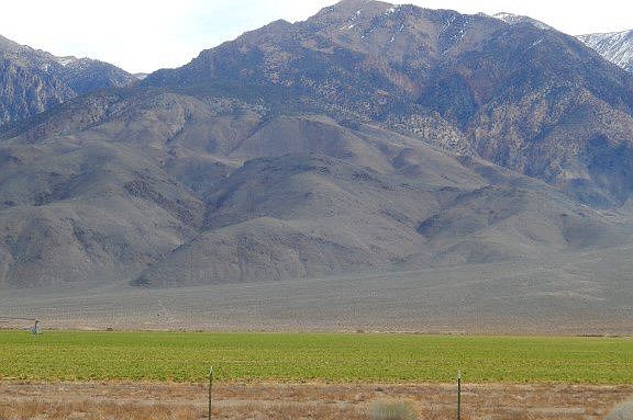5th image of 14495 Highway 6