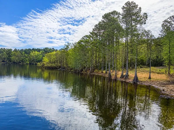 1485 Fairdale Rd, Hemphill, TX 75948