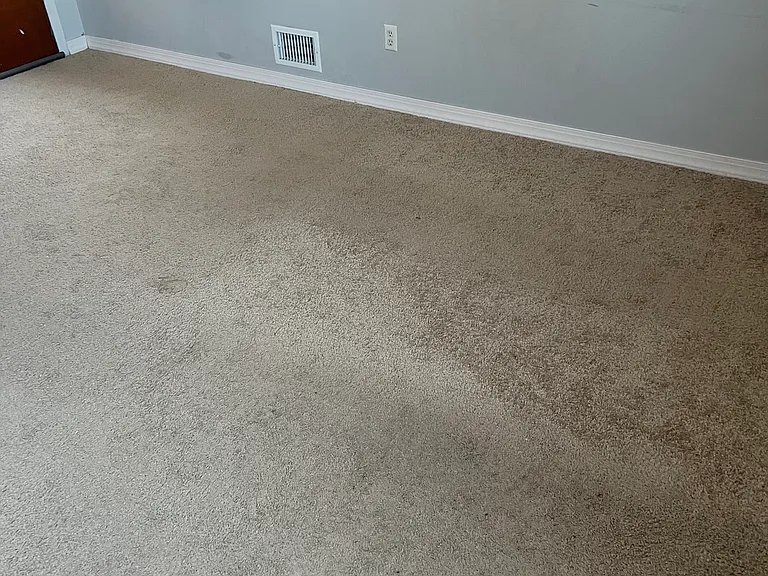 845 Monroe Ave #2 — Photo 12