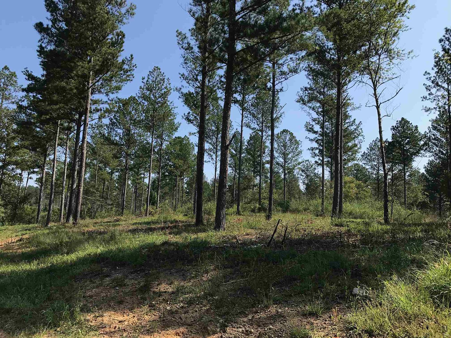 387 Druid Rd, Rome, GA 30161 Zillow