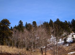 P-69 Rd, Bailey, CO 80421