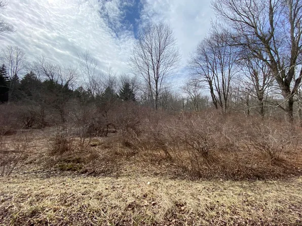 909 W Wadi Rd, Pocono Lake, PA 18347